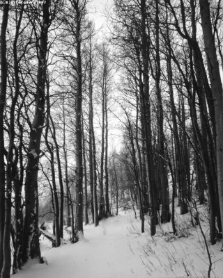 Sierras in Winter