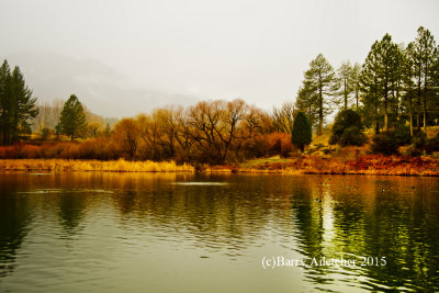 ferns_lake