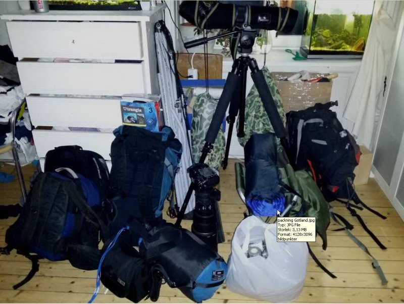 packning Gotland