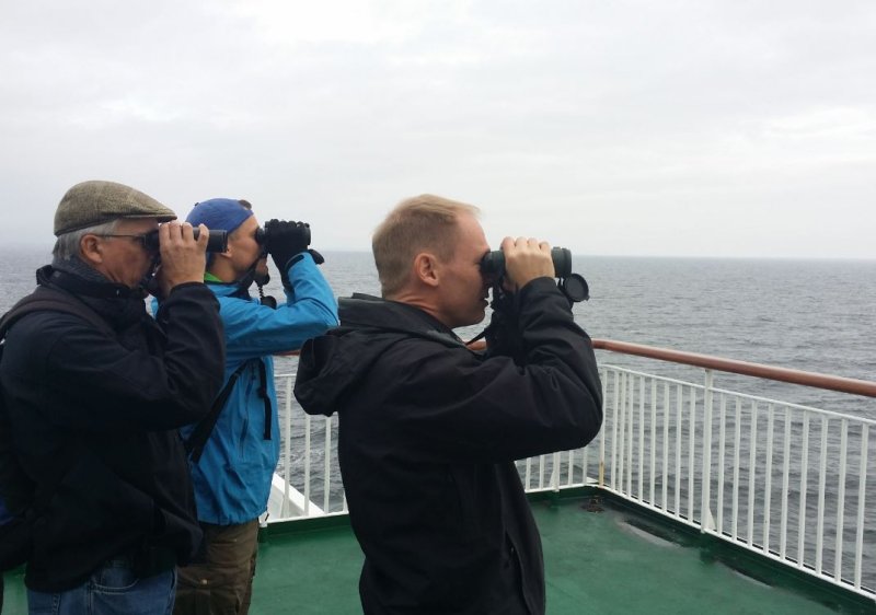 skådning på båten till gotland
