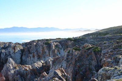 VIEW OVER THE WALKER BAY