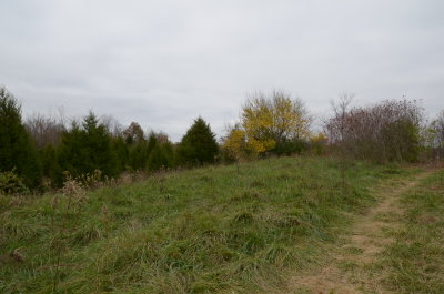 DSC_4367.JPG
