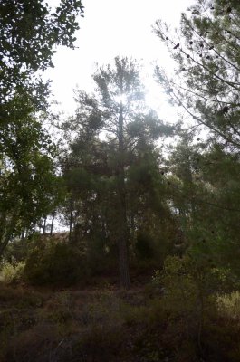 20140924103950Zypern00370.jpg