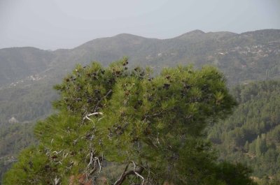 20140924154406Zypern00460.jpg