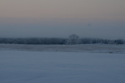 DSC_4977.JPG