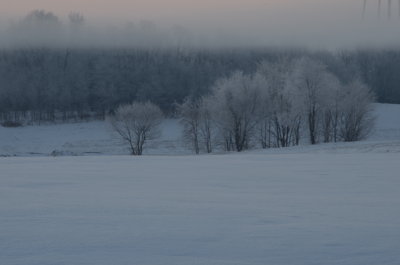 DSC_4981.JPG