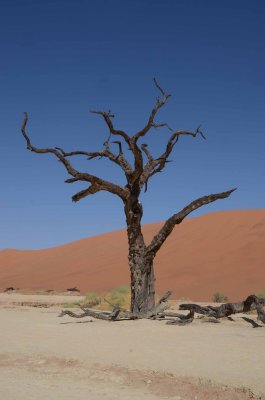 12.07.2015 SOSSUSVLEI