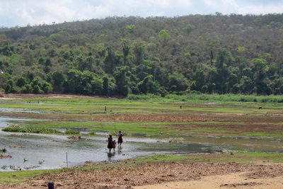 Ankarafantsika NP