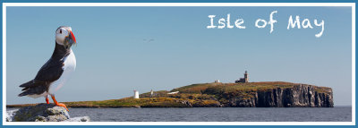 Isle of May Banner