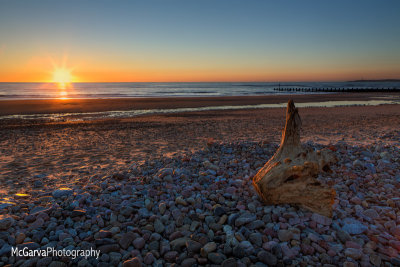 Drift Wood