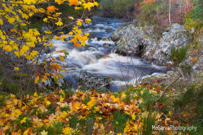 Autumnal Carrbridge