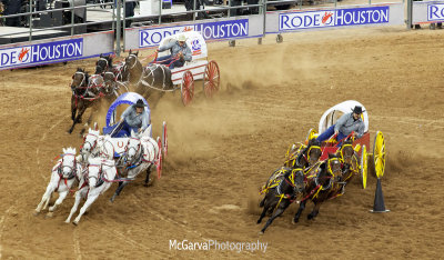 Rodeo 2015 02