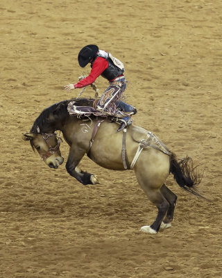 Rodeo 2015 09