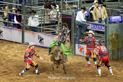 Rodeo 2015 04