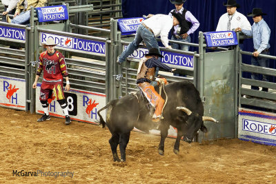 Rodeo 2015 18