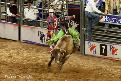 Rodeo 2015 19