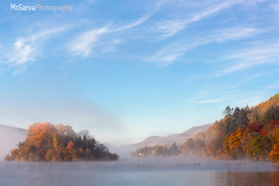 Misty Morning