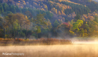 Loch Ard Mist