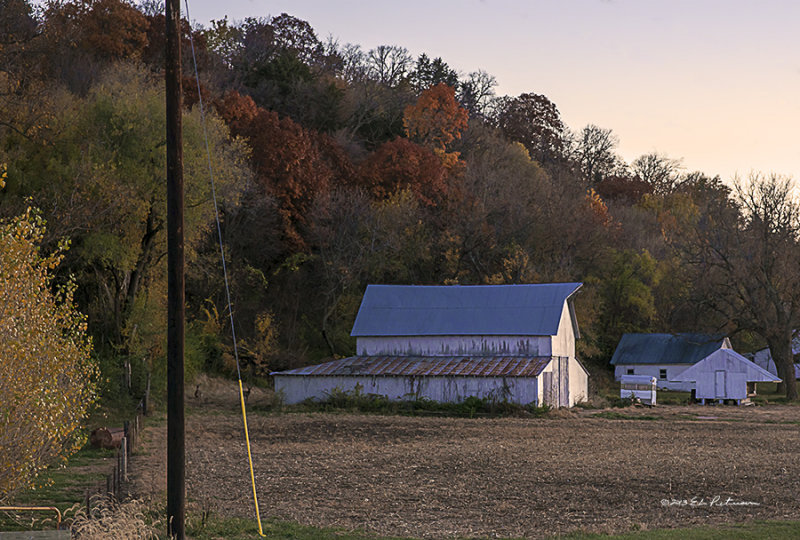 The white homestead standout against the color of the fall trees. Not only does sunset bring out the colors, it also brings out the deer. Look closely and you can see two behind the barn.
An image may be purchased at http://edward-peterson.artistwebsites.com/featured/barn-sunset-edward-peterson.html