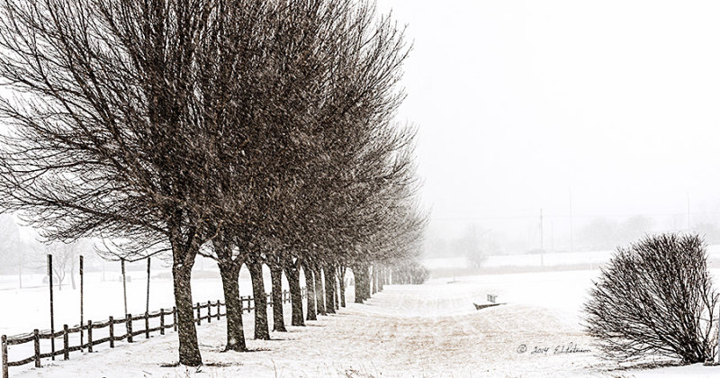 Just the beginning of a winter storm and everything is beginning to turn white. It should be a good morning to get out and shoot some photos.
An image may be purchased at http://edward-peterson.artistwebsites.com/featured/beginning-storm-edward-peterson.html