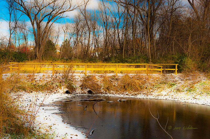 The water is starting to ice over in the wetlands and most of the birds are hidden trying to stay warm. It must be winter time.
An image may be purchased at http://edward-peterson.artistwebsites.com/featured/1-winter-walkway-edward-peterson.html