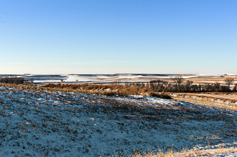 Traveling through country on my way to my childhood home it is very apparent that winter is here. The countryside is always so crisp after the first snow and the crops have been harvested. There were still a few fields of corn standing but the beans were out and for the most part all the activity of the past few weeks is at rest. 
An image may be purchased at http://edward-peterson.artistwebsites.com/featured/winter-begins-edward-peterson.html