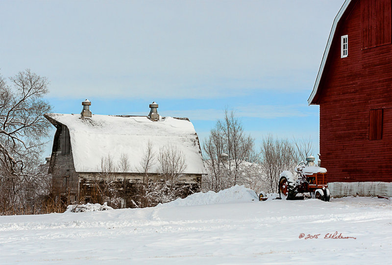 Fresh snow always makes everything look refreshing and cold. And it makes for a cold tractor ride if you don't have one with a cab!
An image may be purchased at http://edward-peterson.artistwebsites.com/featured/snow-barns-edward-peterson.html