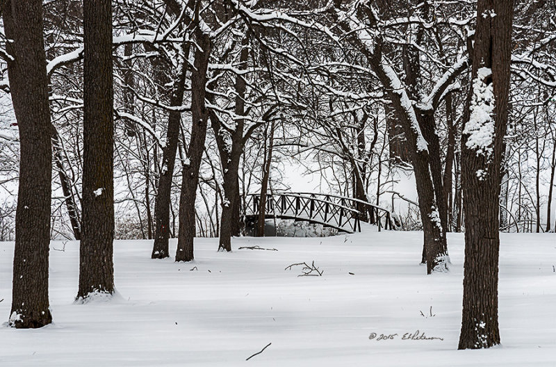 There is a little bridge down the hill that crosses a creek. Nothing special going on just a great scene that takes you back to your childhood when a bridge discovered just has to be crossed.
An image may be purchased at http://edward-peterson.artistwebsites.com/featured/winter-bridge-edward-peterson.html