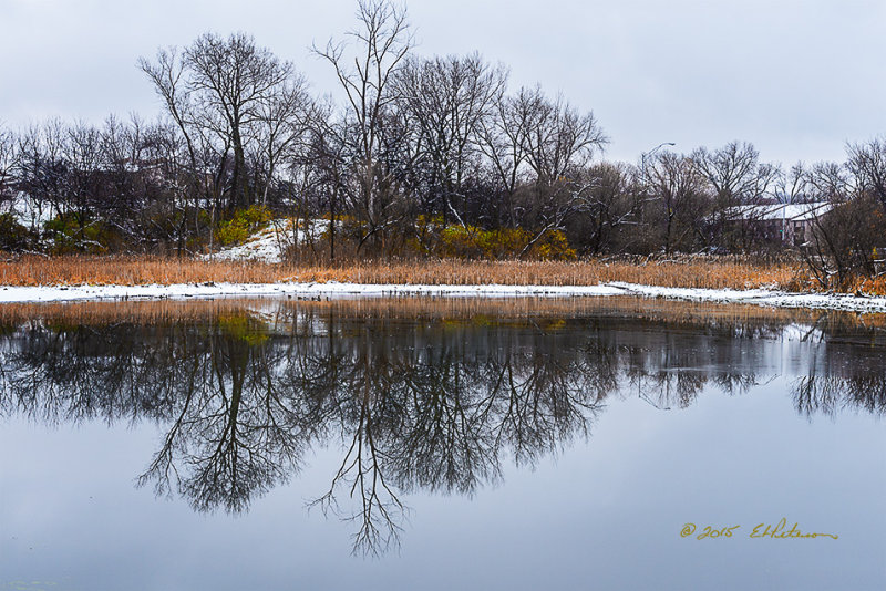 After a 24 hour storm warning, there is a fresh layer of white and the temperature has risen to a little above freezing. A calm day and a little ice makes a glass like lake which is providing a perfect reflection. Look close and you can see the mallards on the water by the shoreline. A little chilly but a pleasant outing.

An image may be purchased at http://edward-peterson.artistwebsites.com/featured/winter-reflections-edward-peterson.html