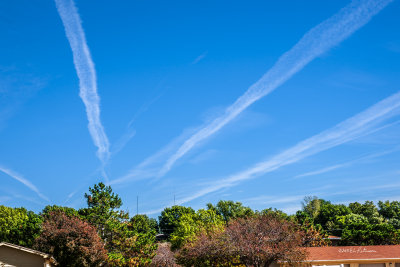 The cool fall days really bring out the color as far as one can see.
An image may be purchased at http://fineartamerica.com/featured/fall-sky-edward-peterson.html?newartwork=true
