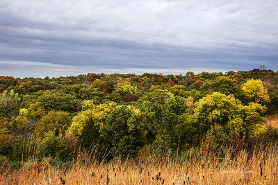 Just one of the many sites you can see from a high point in Waubonsie State Park in southwest Iowa. And in the fall it contains multiple colors.
An image may be purchased at http://edward-peterson.artistwebsites.com/featured/waubonsie-state-park-in-fall-edward-peterson.html