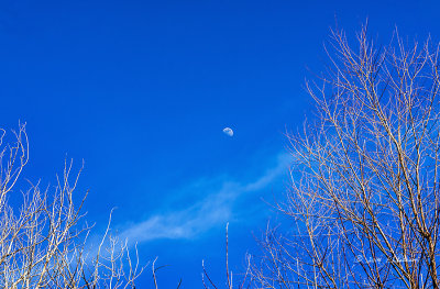 Daylight savings time and a warm spring day. Calm winds and bright sunshine. And the colors just become intense.
An image may be purchased at http://edward-peterson.artistwebsites.com/featured/spring-moon-edward-peterson.html