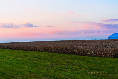 One thing about getting up and hitting the road while it is still dark is you get to see a great sunrise. The corn field and ditch haven't caught any rays yet but they will in short order.

An image may be purchased at http://edward-peterson.pixels.com/featured/iowa-sunrise-edward-peterson.html