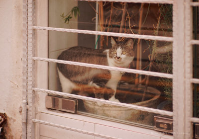 DSC06569.jpeg