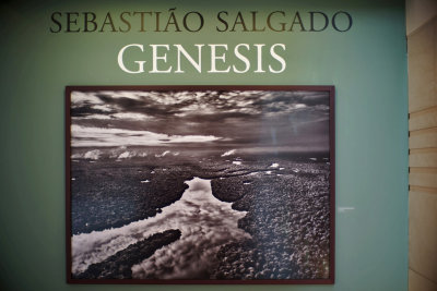 Sebastiao Salgado GENESIS