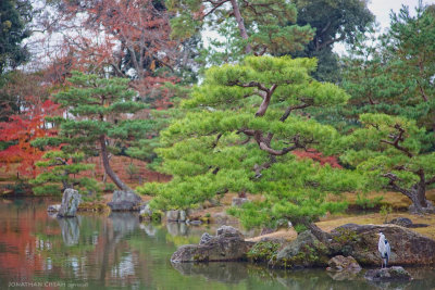 Kinkaku-ji