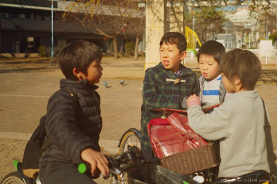 DSC03234-1.jpeg