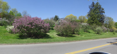 moms_photos_050813
