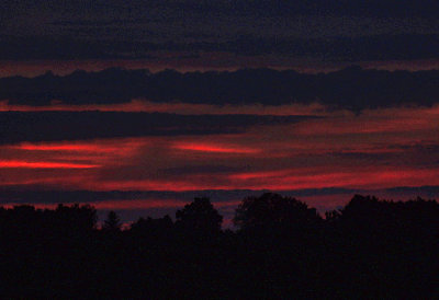 moms_photos_100613