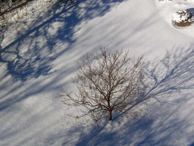 moms_photos_112813