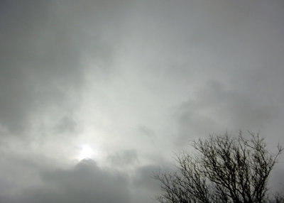 moms_photos_021514
