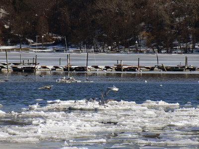 moms_photos_031814