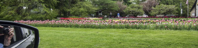 moms_photos_052114