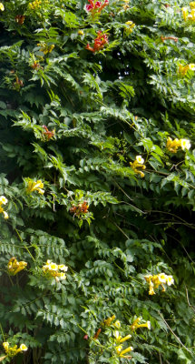 moms_photos_072614