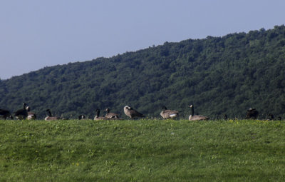 moms_photos_080914
