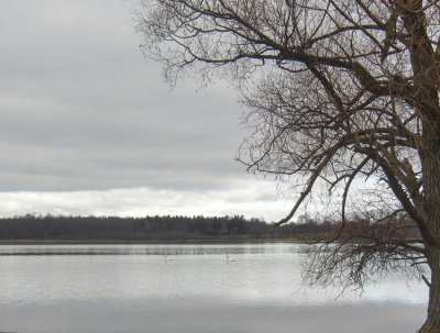 moms_photos_113015