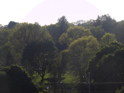 moms_photos_052616