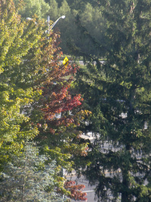 moms_photos_090716