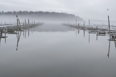 Irondequoit Bay Fog ~ Mayers Marina ~ West Webster NY ~ 012117 ~ taken by Liz.jpg