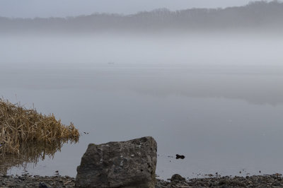 Irondequoit Bay Fog ~ Rochester NY ~ 012117 ~ taken by Liz.jpg